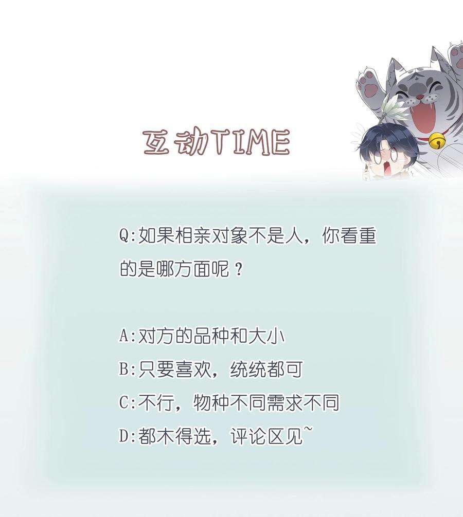 跨物种相亲001 大猫小猫都是猫！