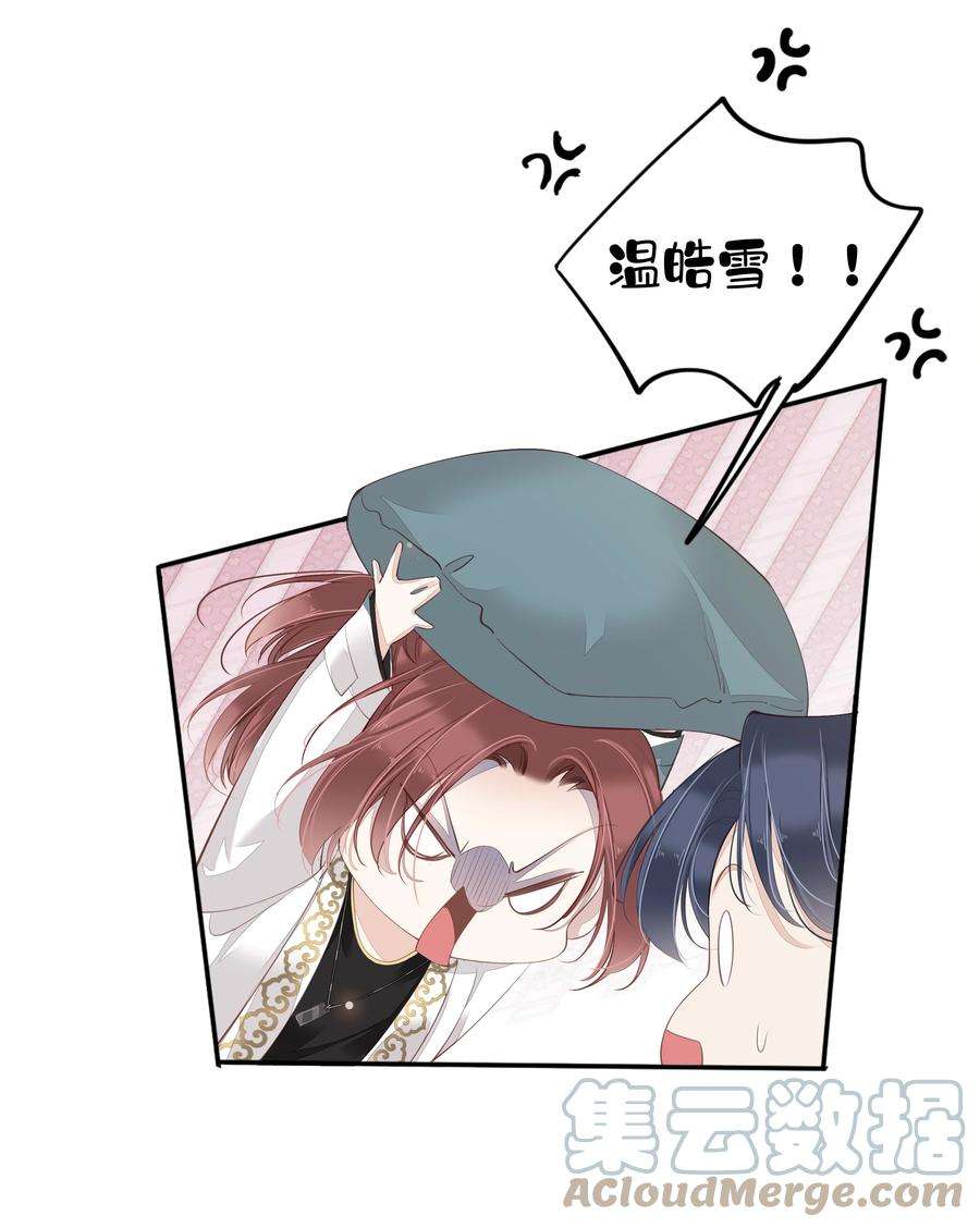 跨物种相亲001 大猫小猫都是猫！