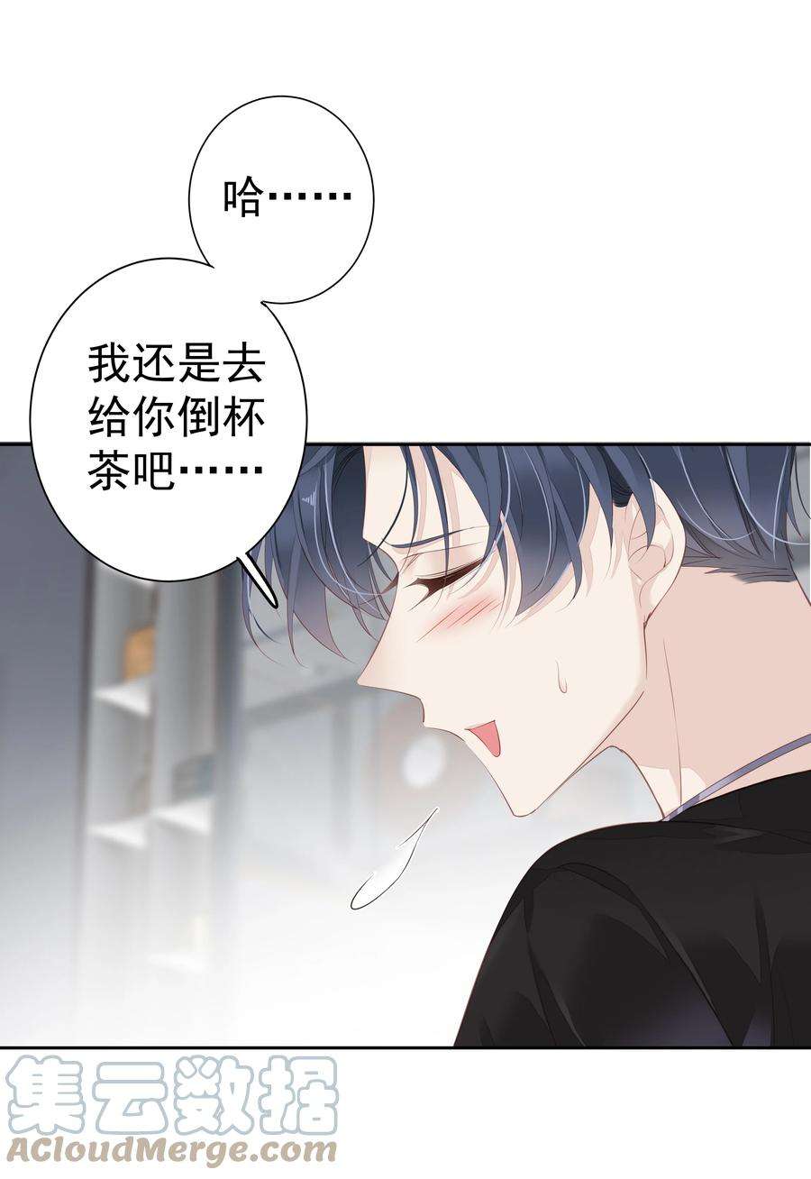 跨物种相亲002 毛线团和纸箱的正确用法