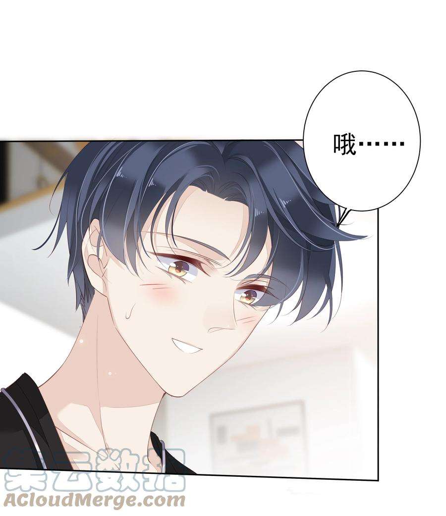 跨物种相亲002 毛线团和纸箱的正确用法