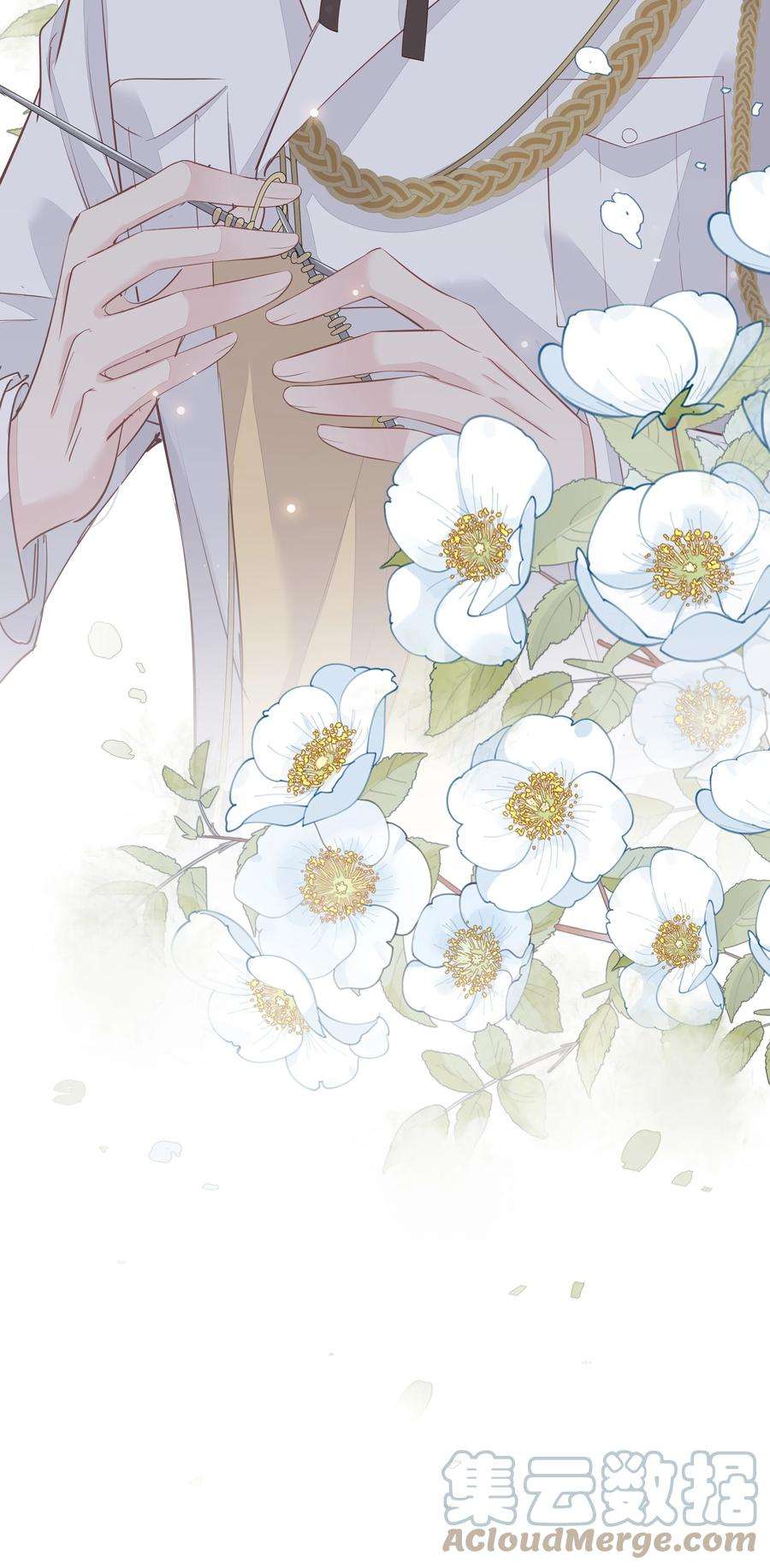 跨物种相亲002 毛线团和纸箱的正确用法