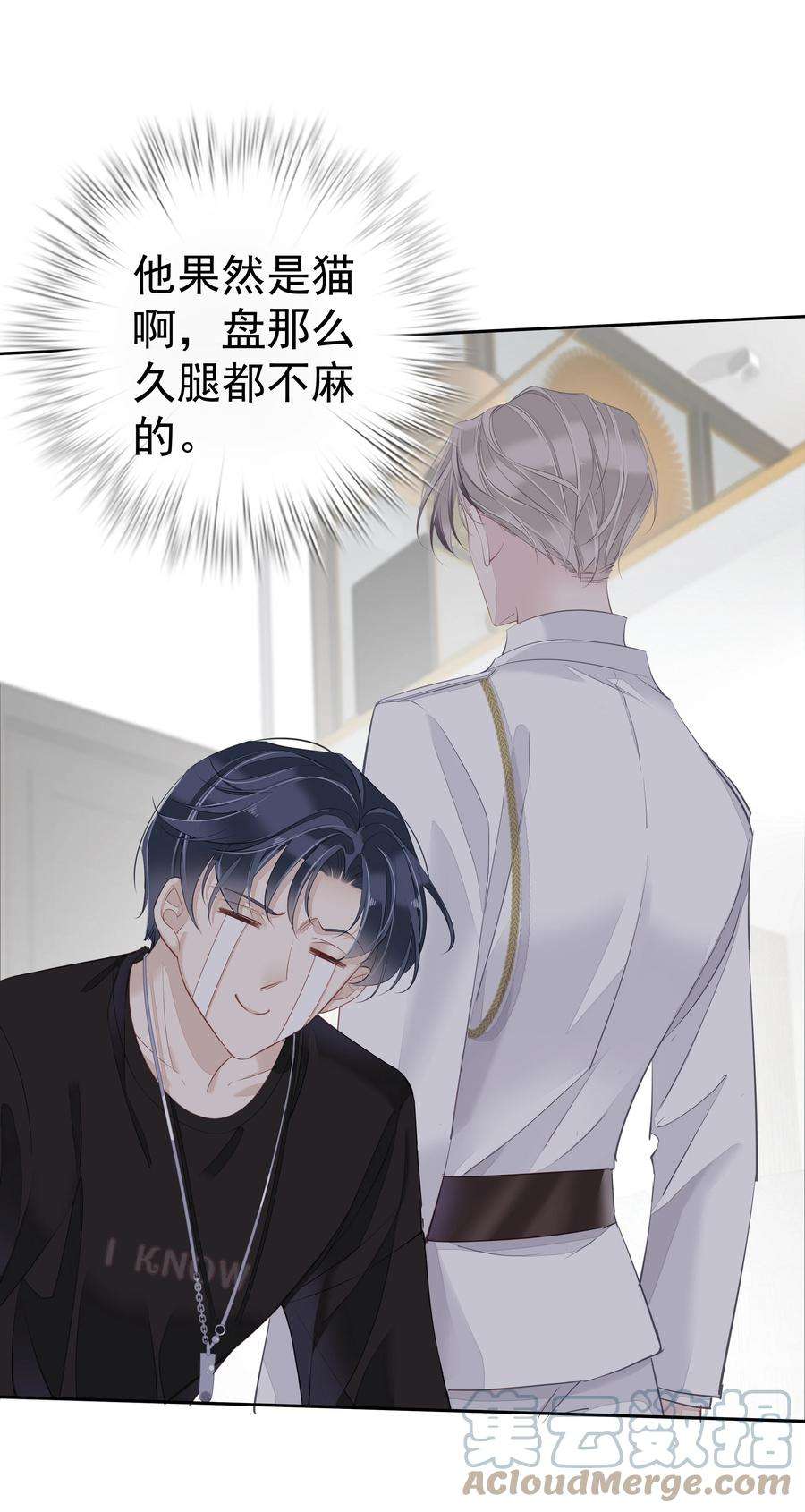 跨物种相亲002 毛线团和纸箱的正确用法