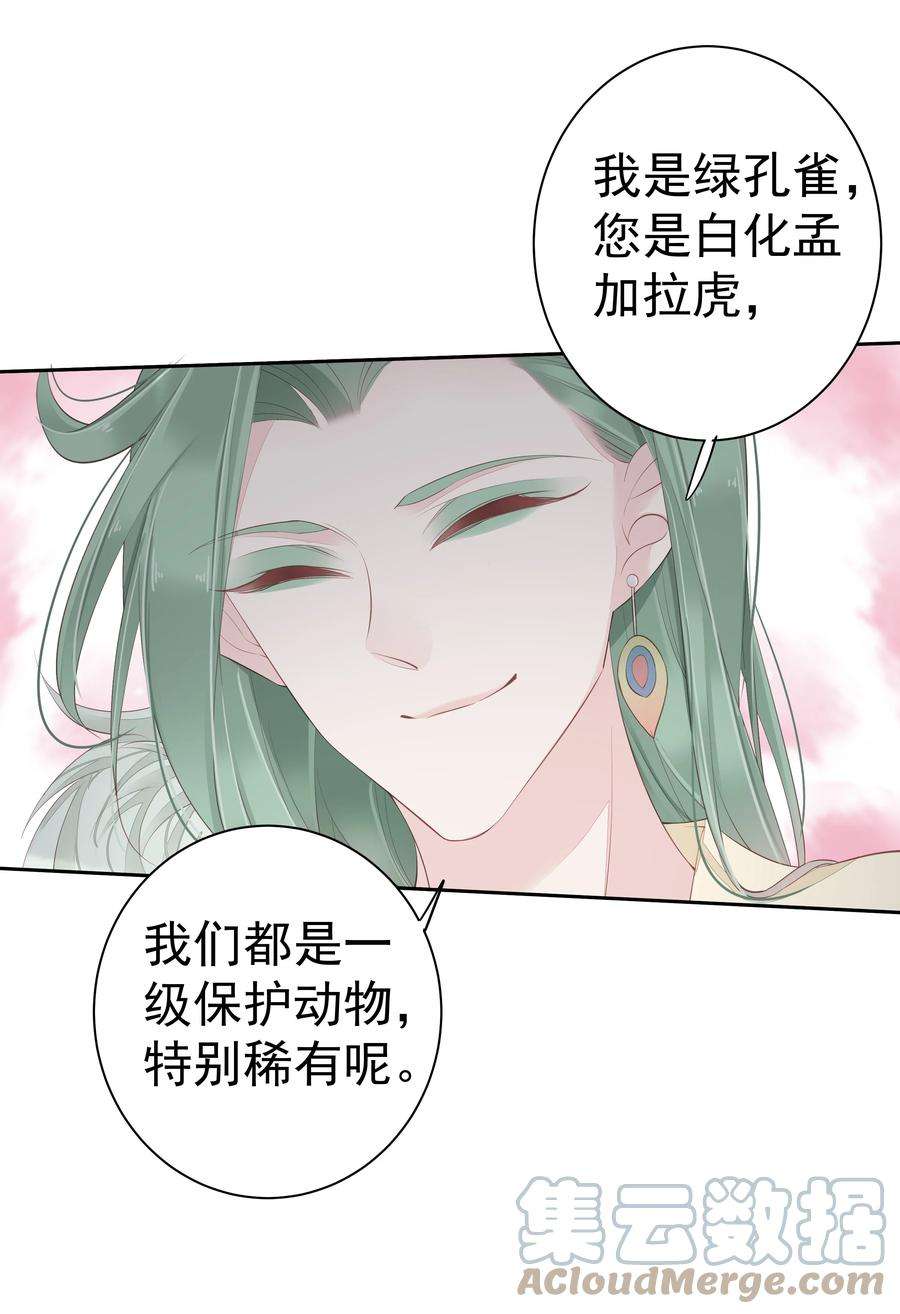跨物种相亲003 我妈不喜欢鸡类
