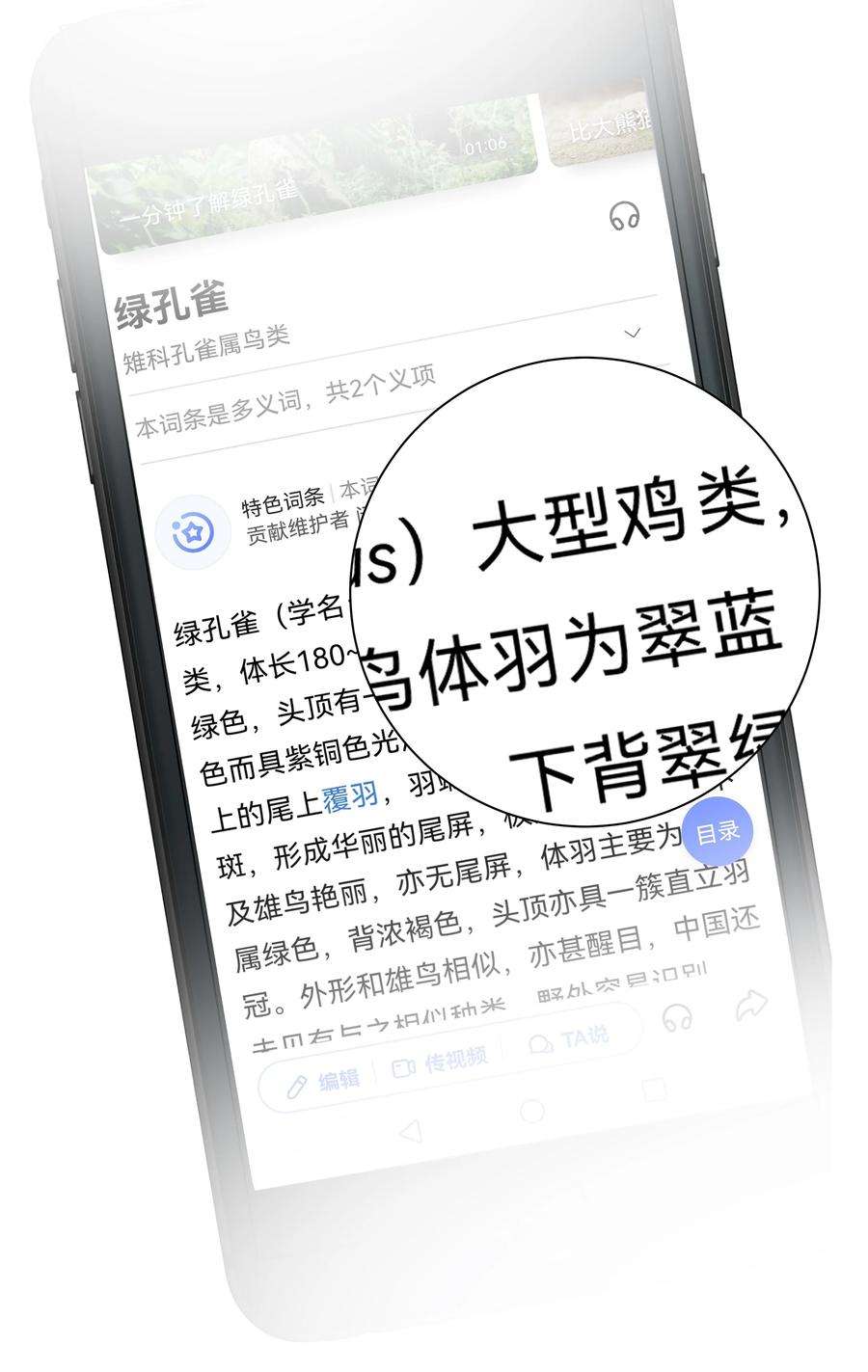 跨物种相亲003 我妈不喜欢鸡类