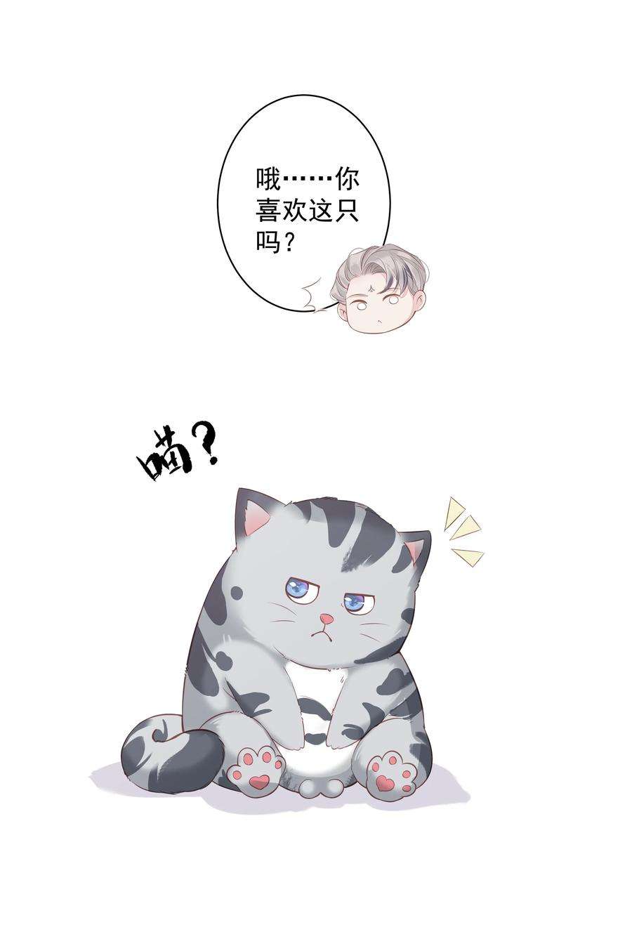 跨物种相亲13 适应不独居的生活