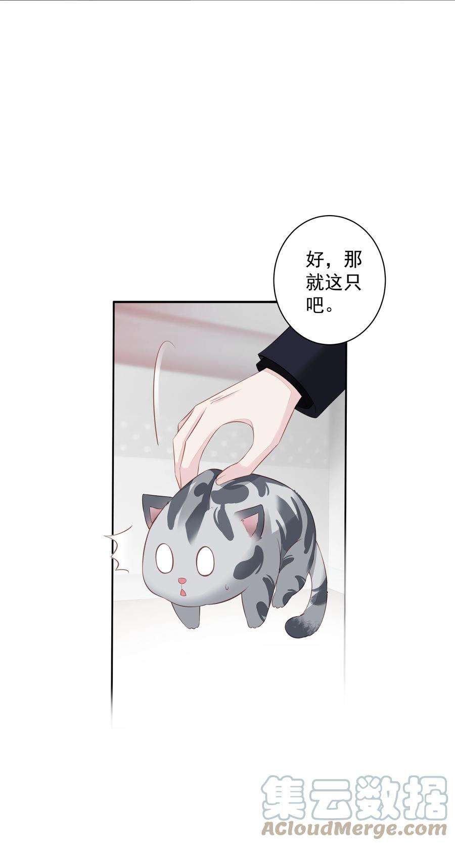 跨物种相亲13 适应不独居的生活