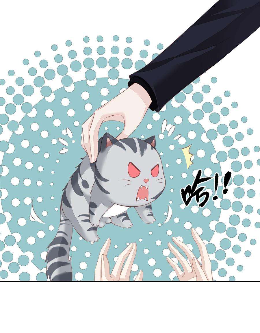 跨物种相亲13 适应不独居的生活