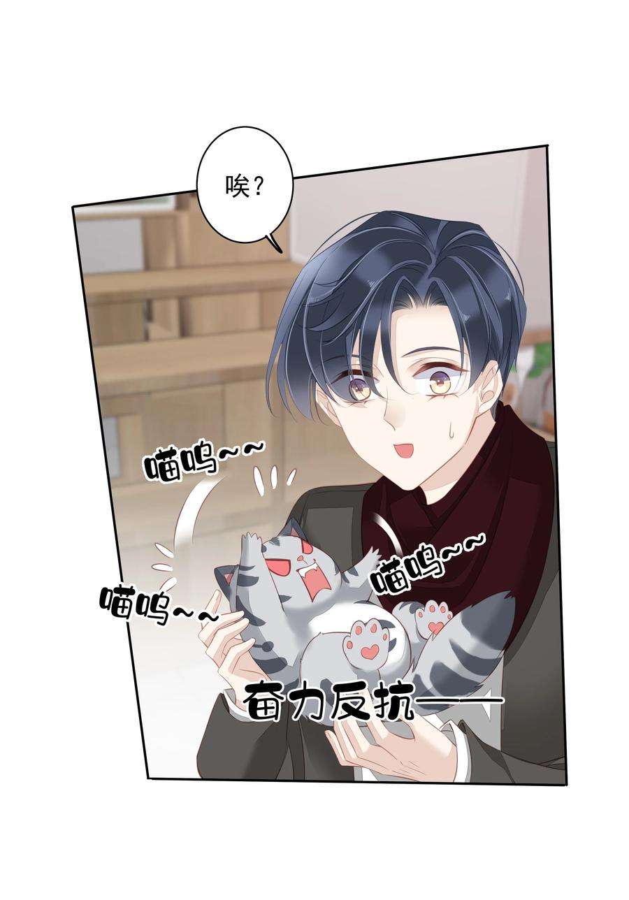 跨物种相亲13 适应不独居的生活