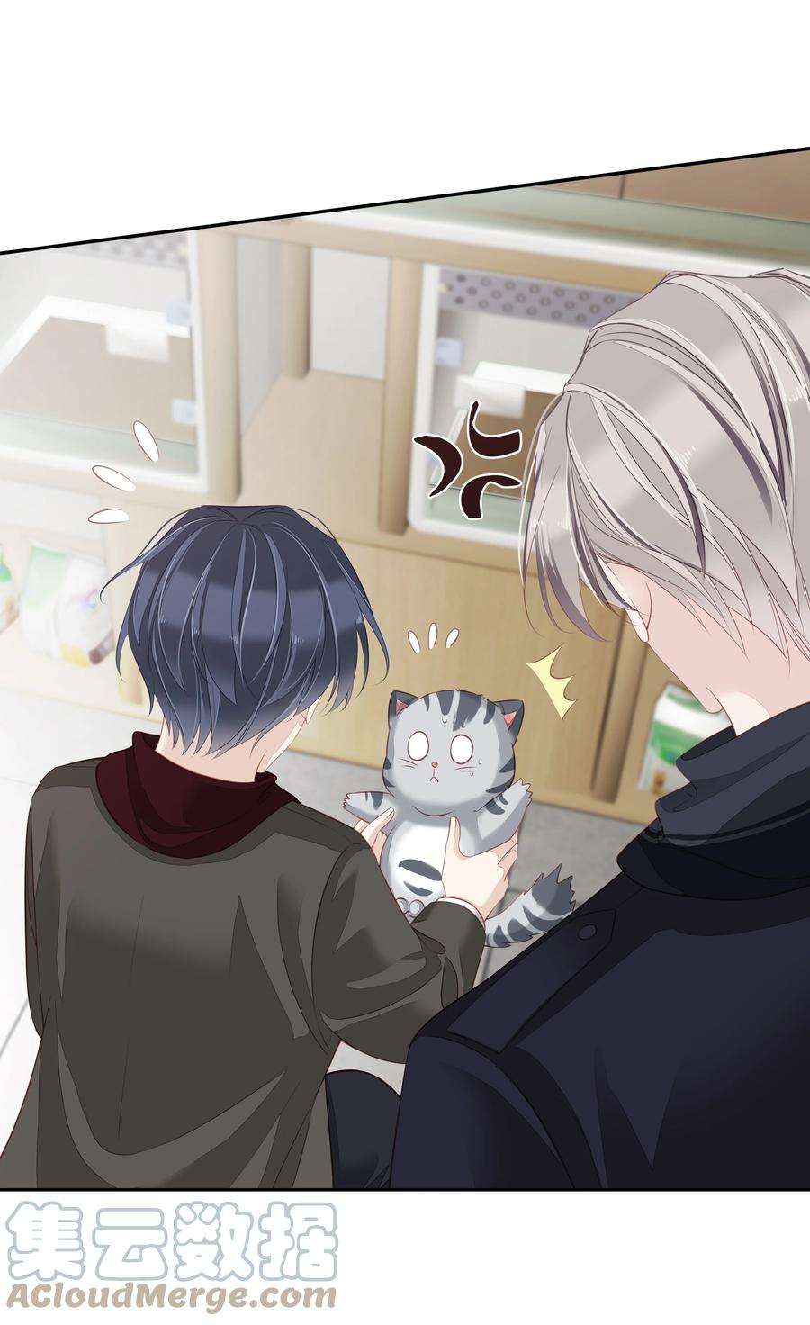 跨物种相亲13 适应不独居的生活