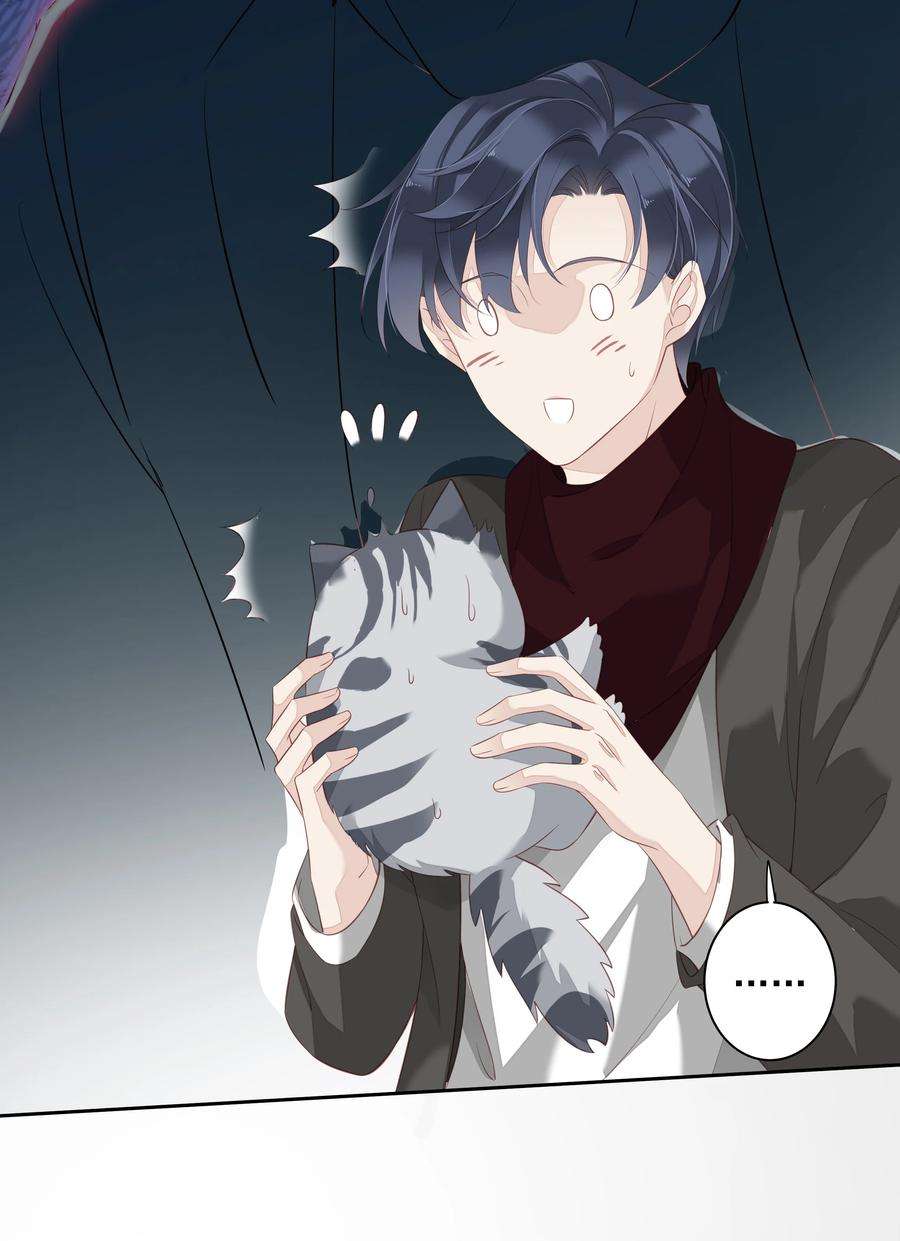 跨物种相亲13 适应不独居的生活