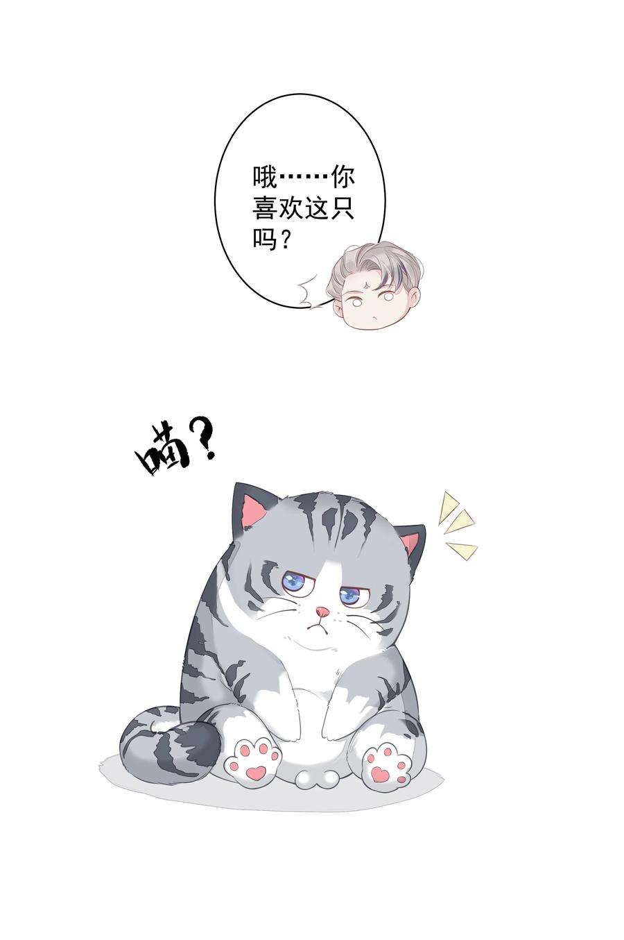 跨物种相亲013 适应不独居的生活