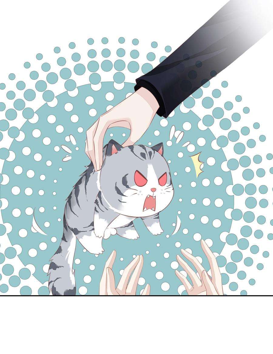 跨物种相亲013 适应不独居的生活