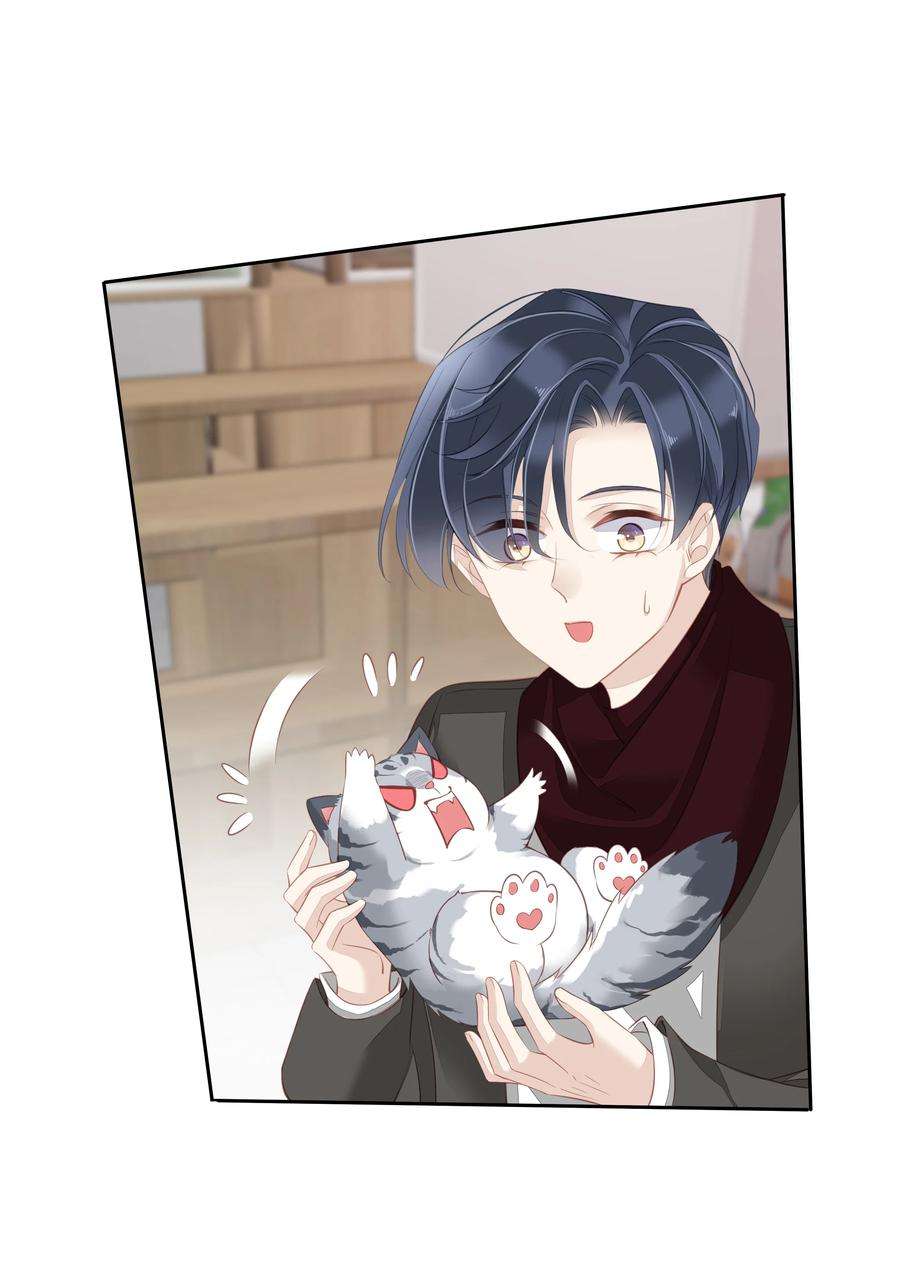 跨物种相亲013 适应不独居的生活