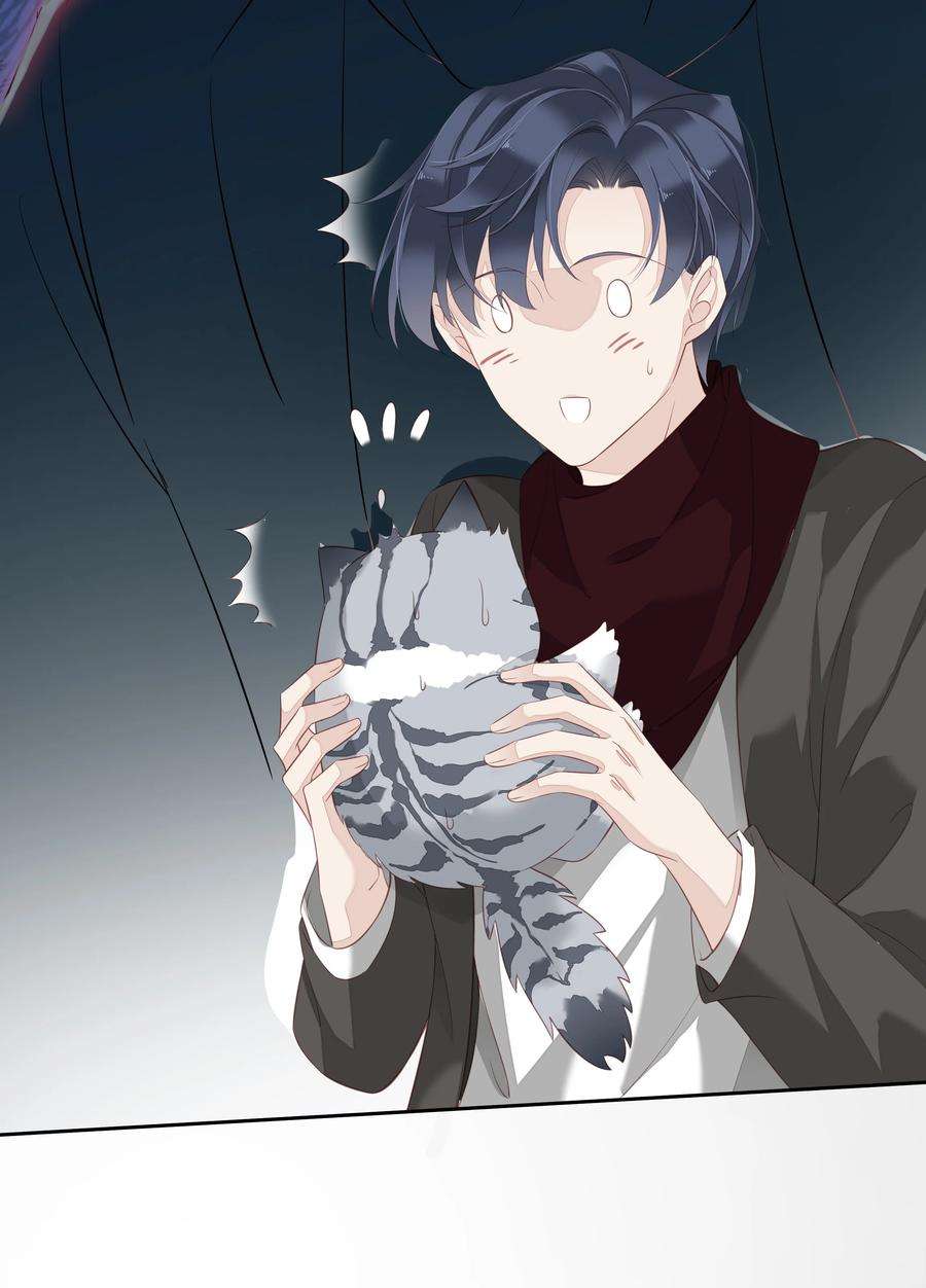 跨物种相亲013 适应不独居的生活