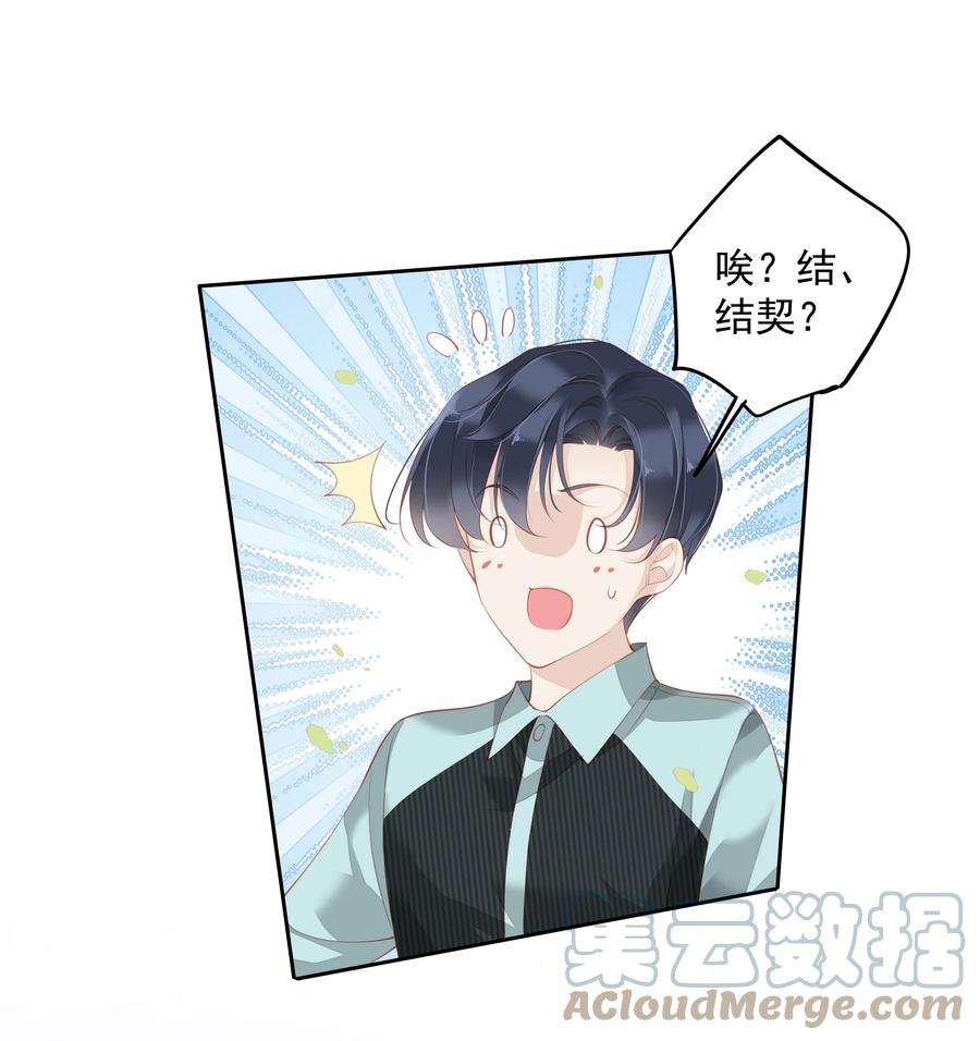 跨物种相亲020 我们结契了