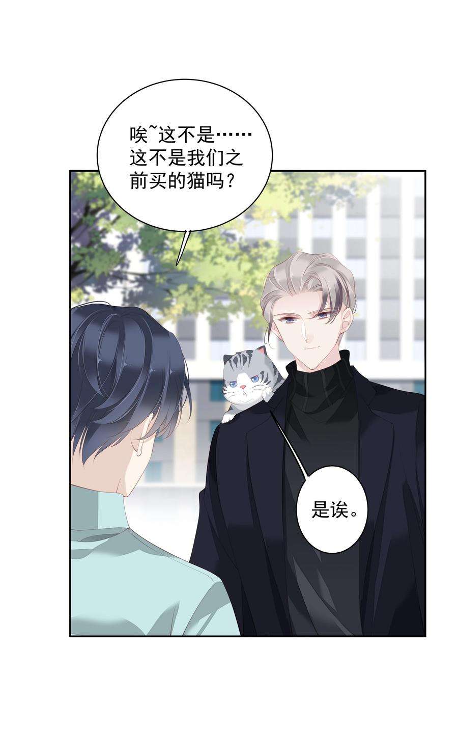 跨物种相亲022 白玉狸