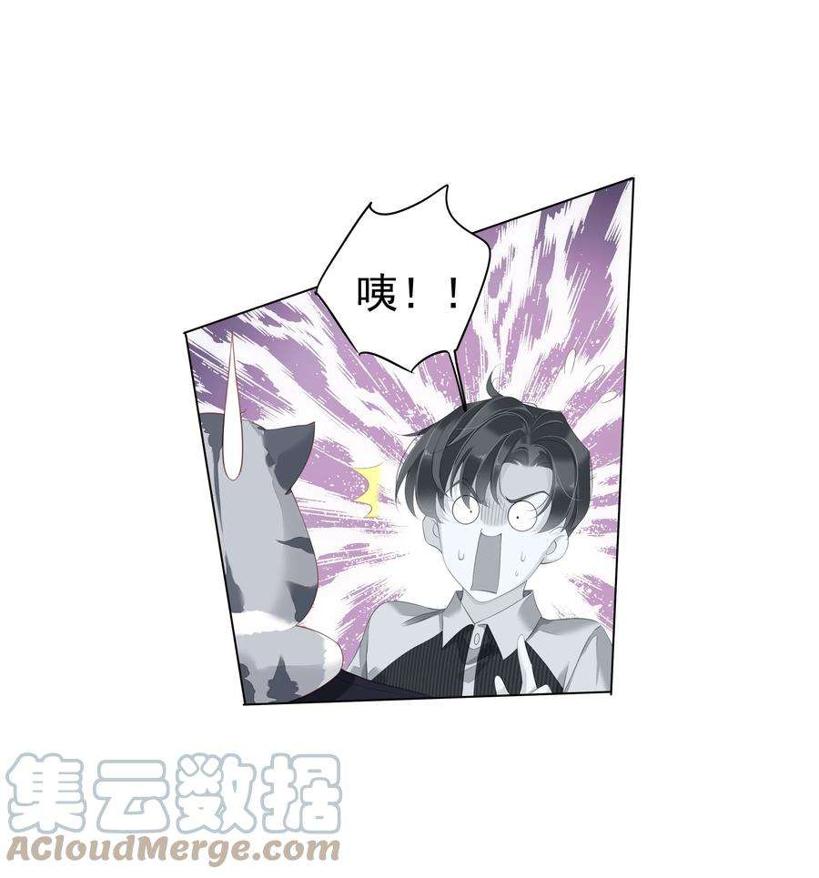 跨物种相亲022 白玉狸