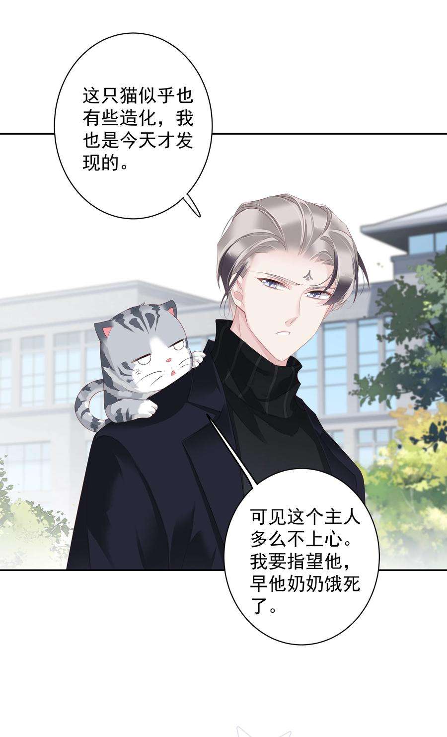 跨物种相亲022 白玉狸