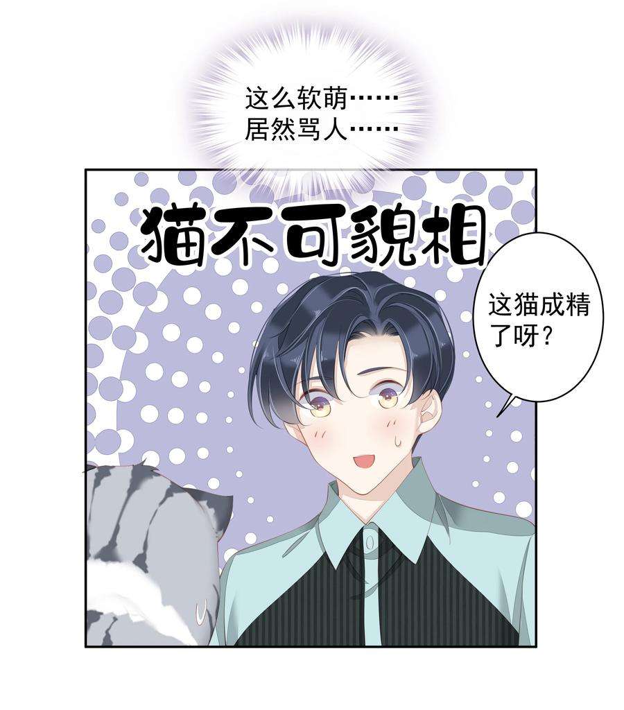 跨物种相亲022 白玉狸