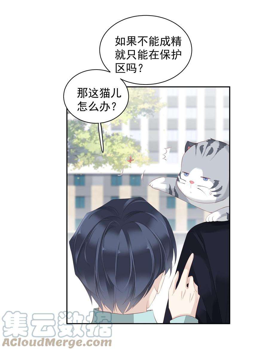 跨物种相亲022 白玉狸