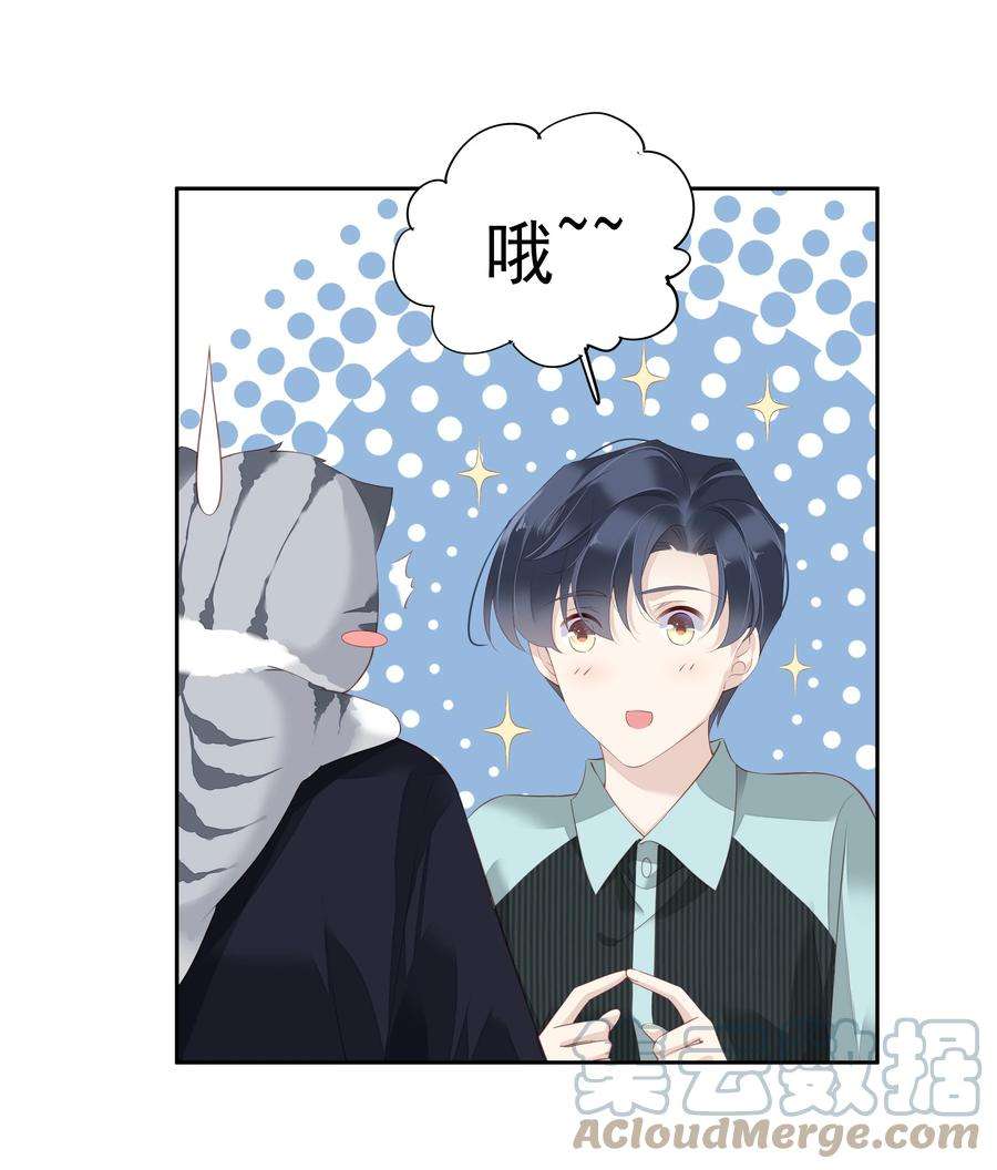 跨物种相亲022 白玉狸