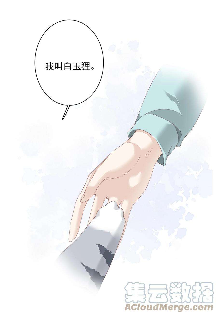 跨物种相亲022 白玉狸