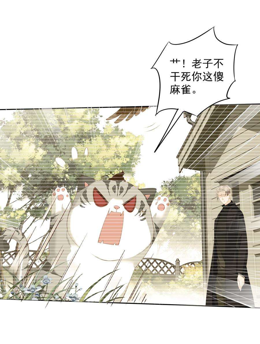 跨物种相亲022 白玉狸