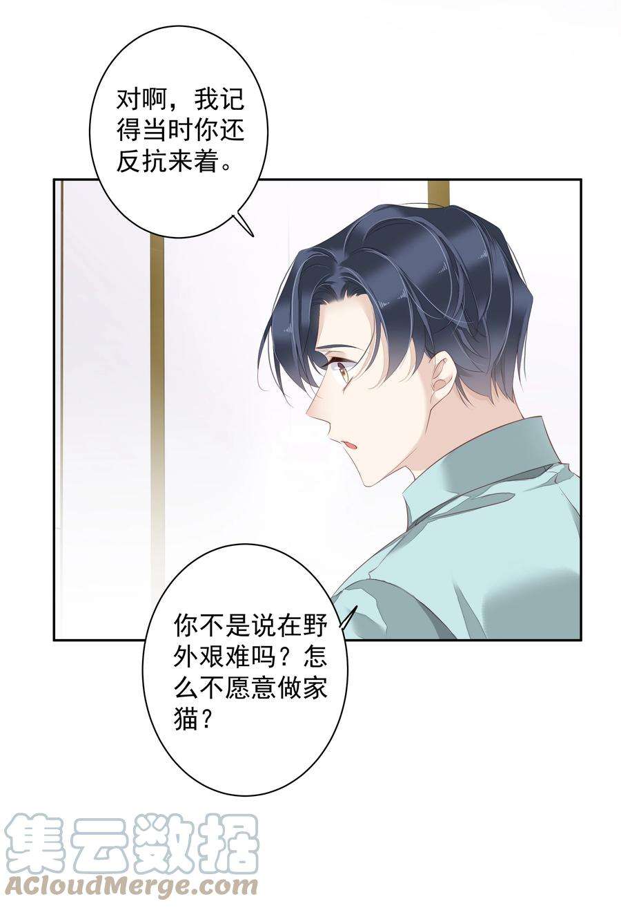 跨物种相亲023 对方带多少人？揣家伙不？