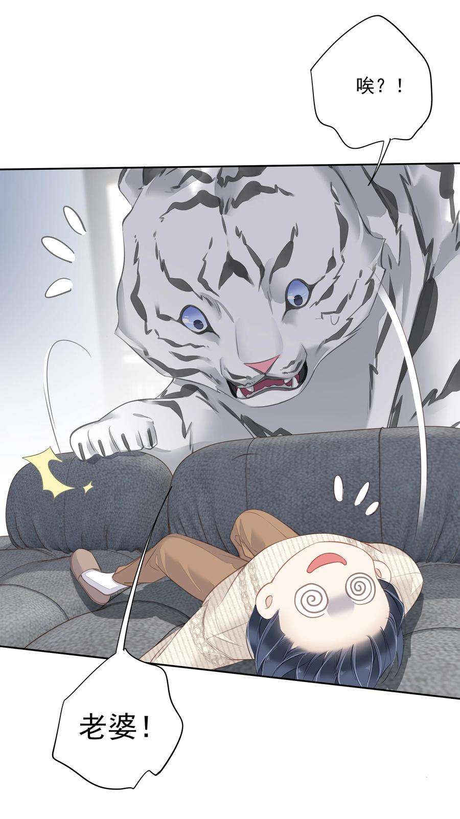 跨物种相亲035 rua~老虎毛的手感