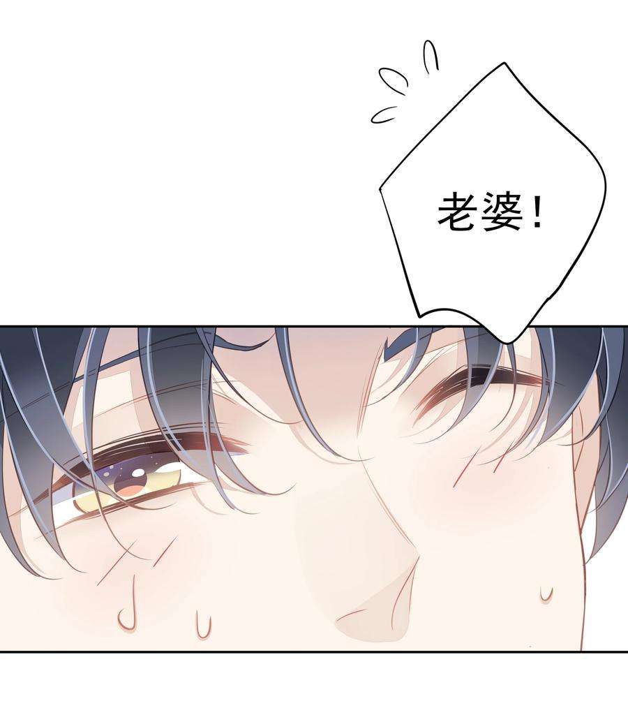 跨物种相亲035 rua~老虎毛的手感