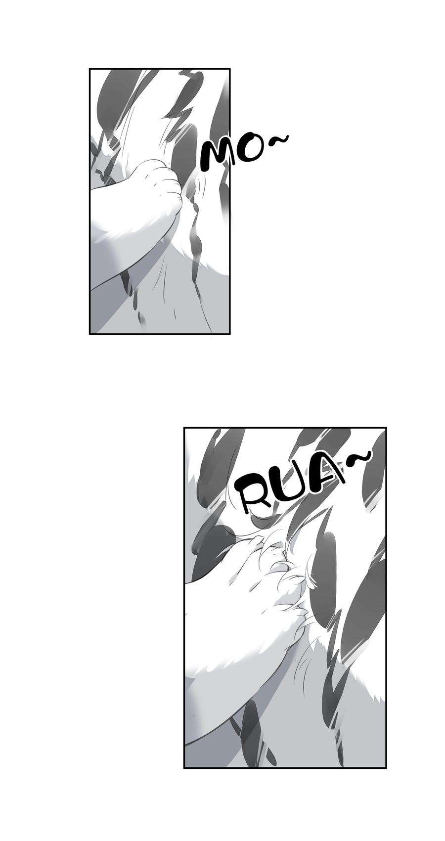 跨物种相亲035 rua~老虎毛的手感