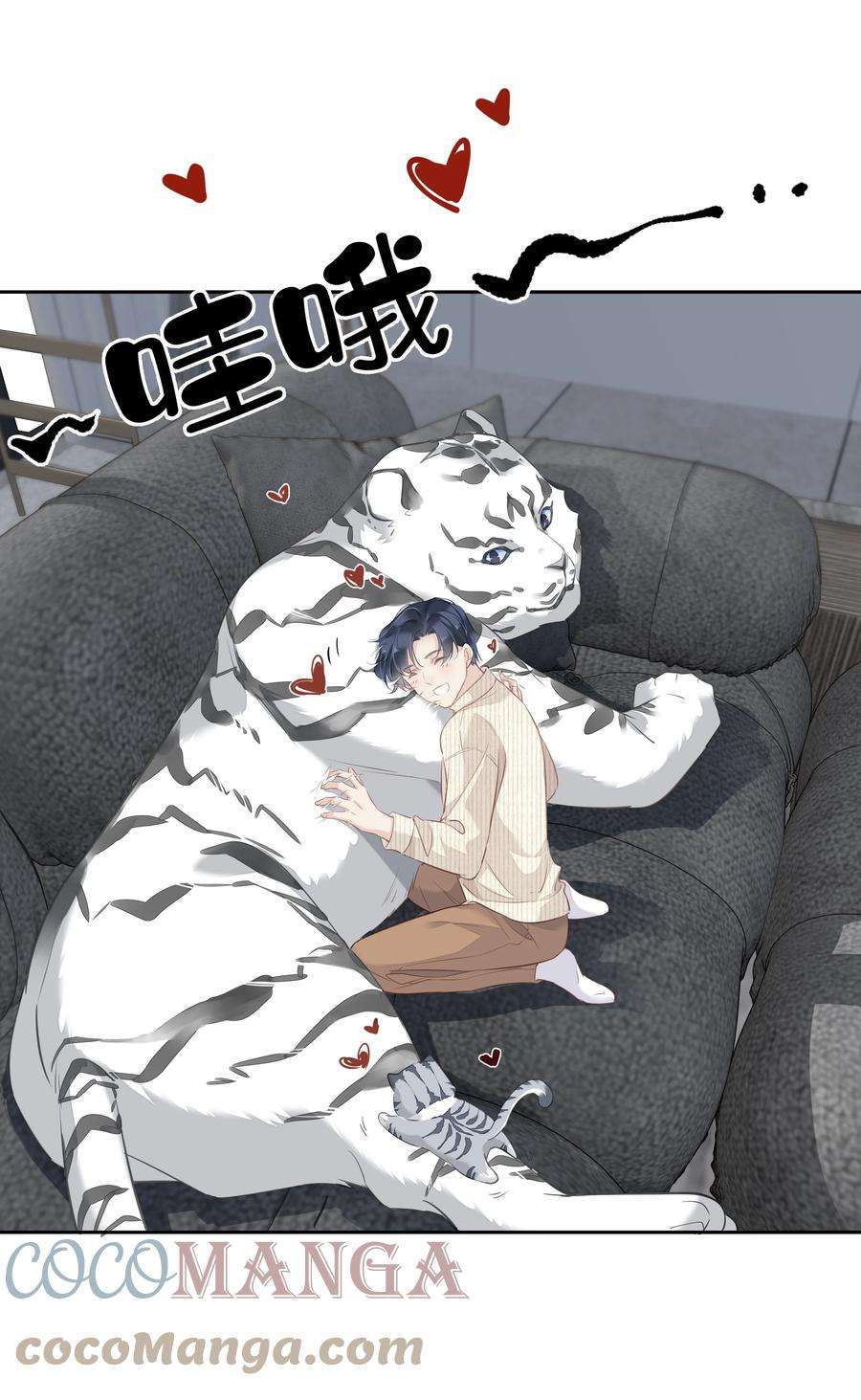 跨物种相亲035 rua~老虎毛的手感