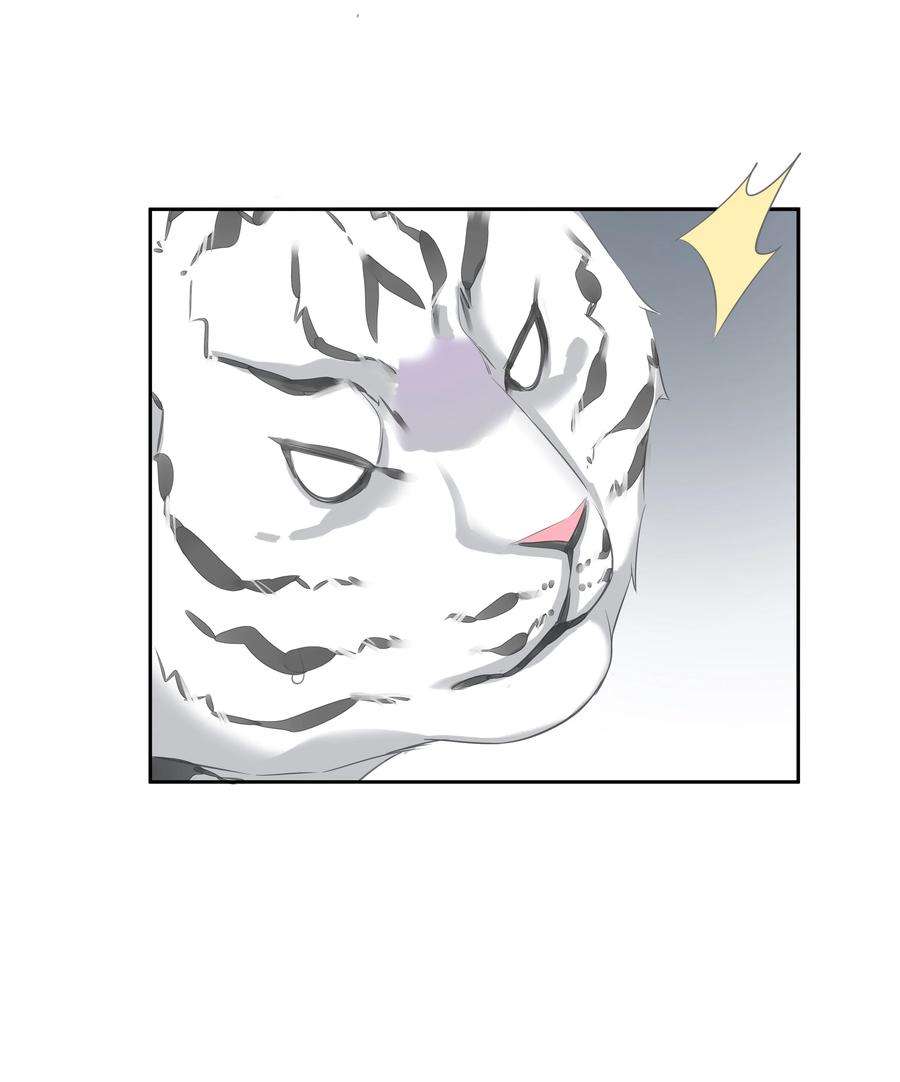 跨物种相亲035 rua~老虎毛的手感
