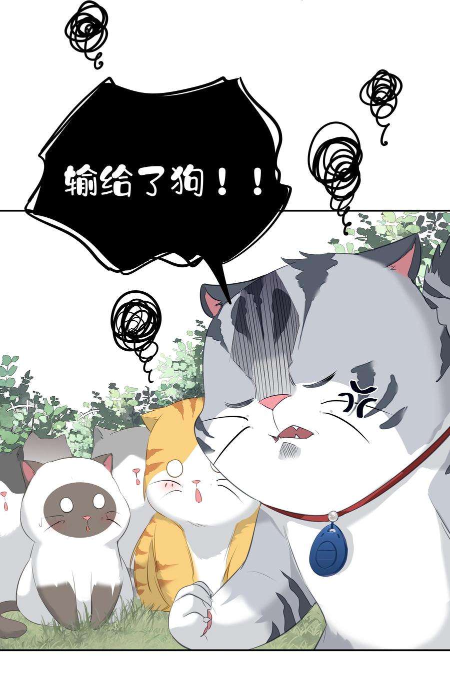 跨物种相亲035 rua~老虎毛的手感