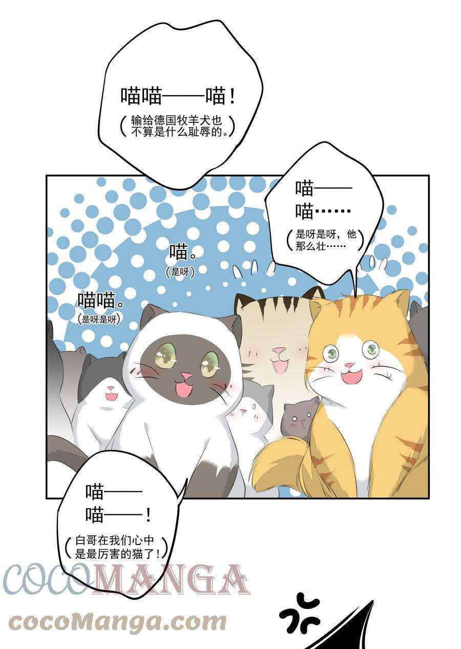 跨物种相亲035 rua~老虎毛的手感