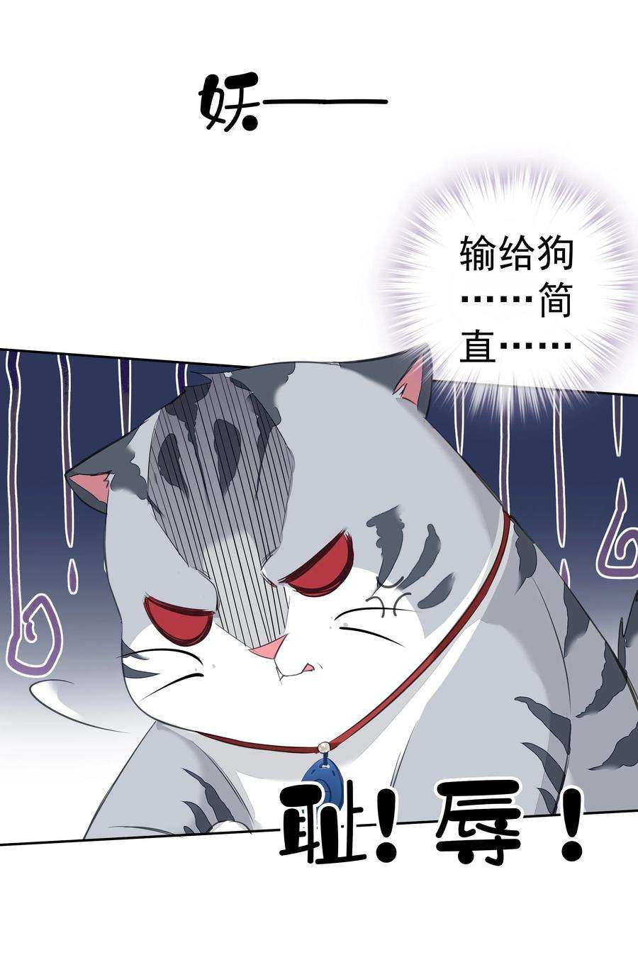 跨物种相亲035 rua~老虎毛的手感