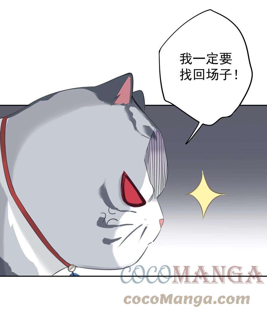 跨物种相亲035 rua~老虎毛的手感