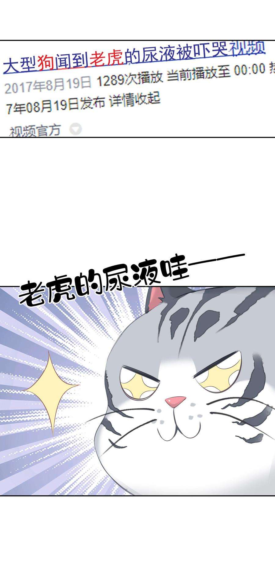 跨物种相亲035 rua~老虎毛的手感