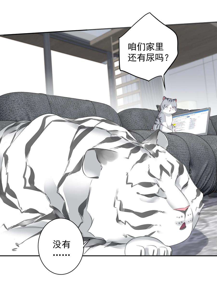 跨物种相亲035 rua~老虎毛的手感