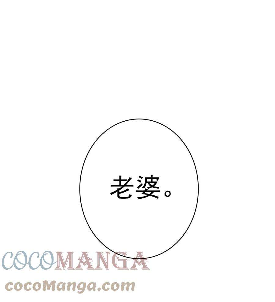 跨物种相亲035 rua~老虎毛的手感