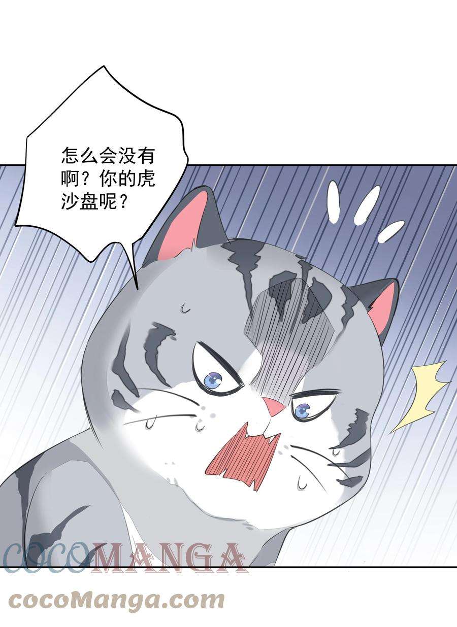 跨物种相亲035 rua~老虎毛的手感
