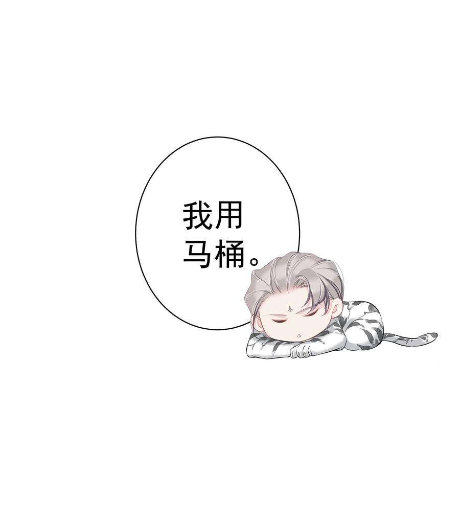跨物种相亲035 rua~老虎毛的手感