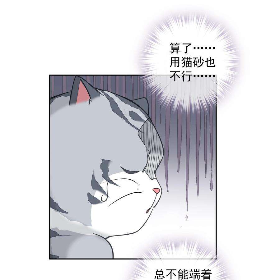 跨物种相亲035 rua~老虎毛的手感