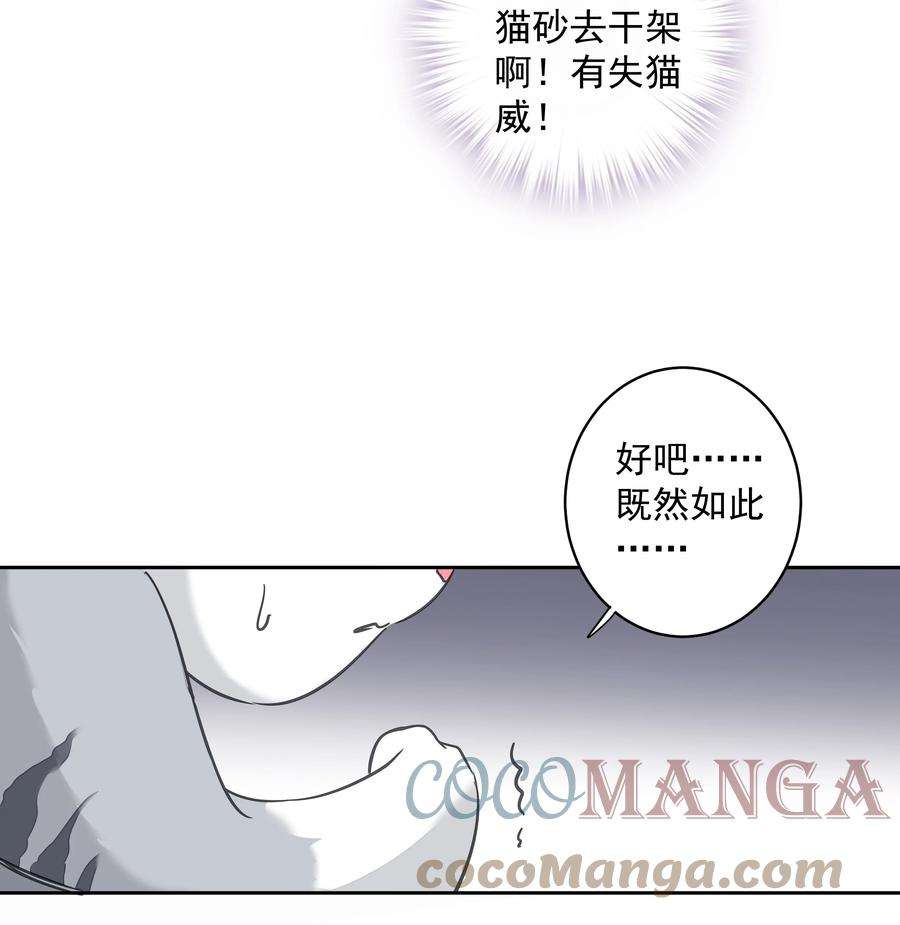 跨物种相亲035 rua~老虎毛的手感