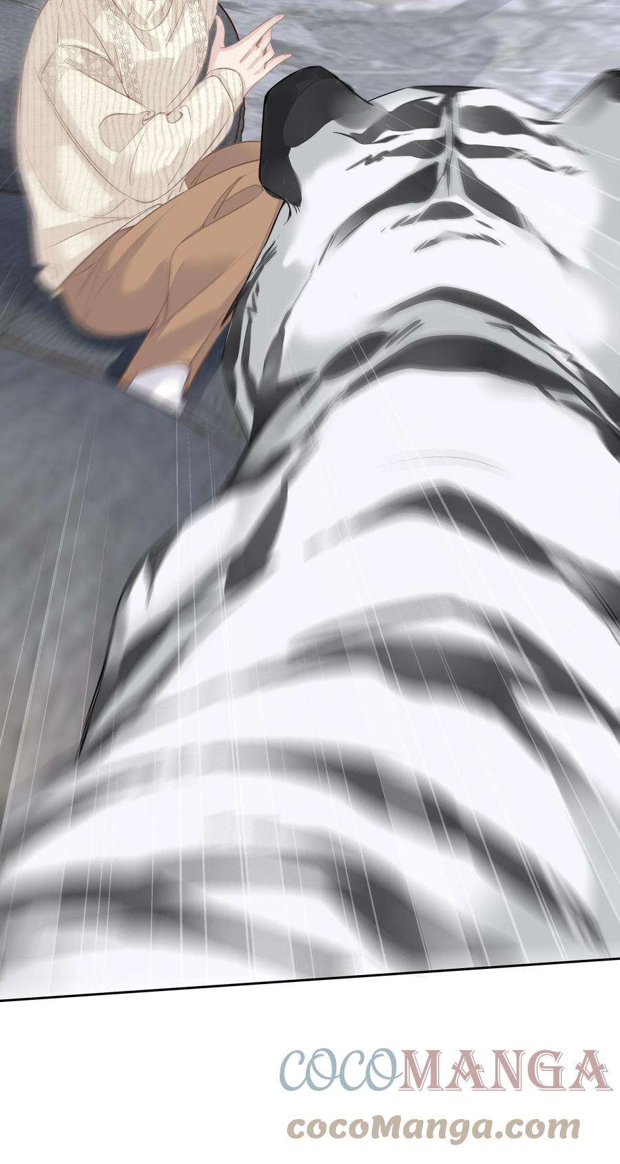 跨物种相亲035 rua~老虎毛的手感