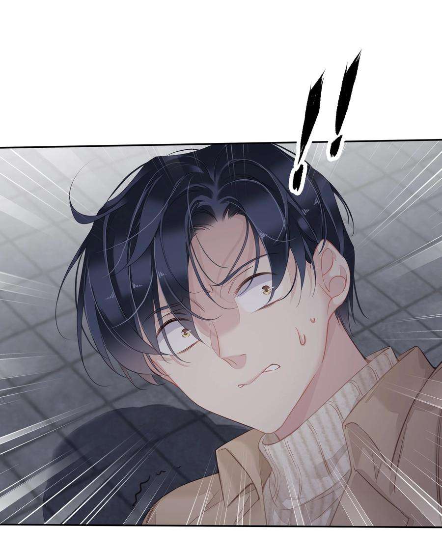 跨物种相亲036 黑背出场！