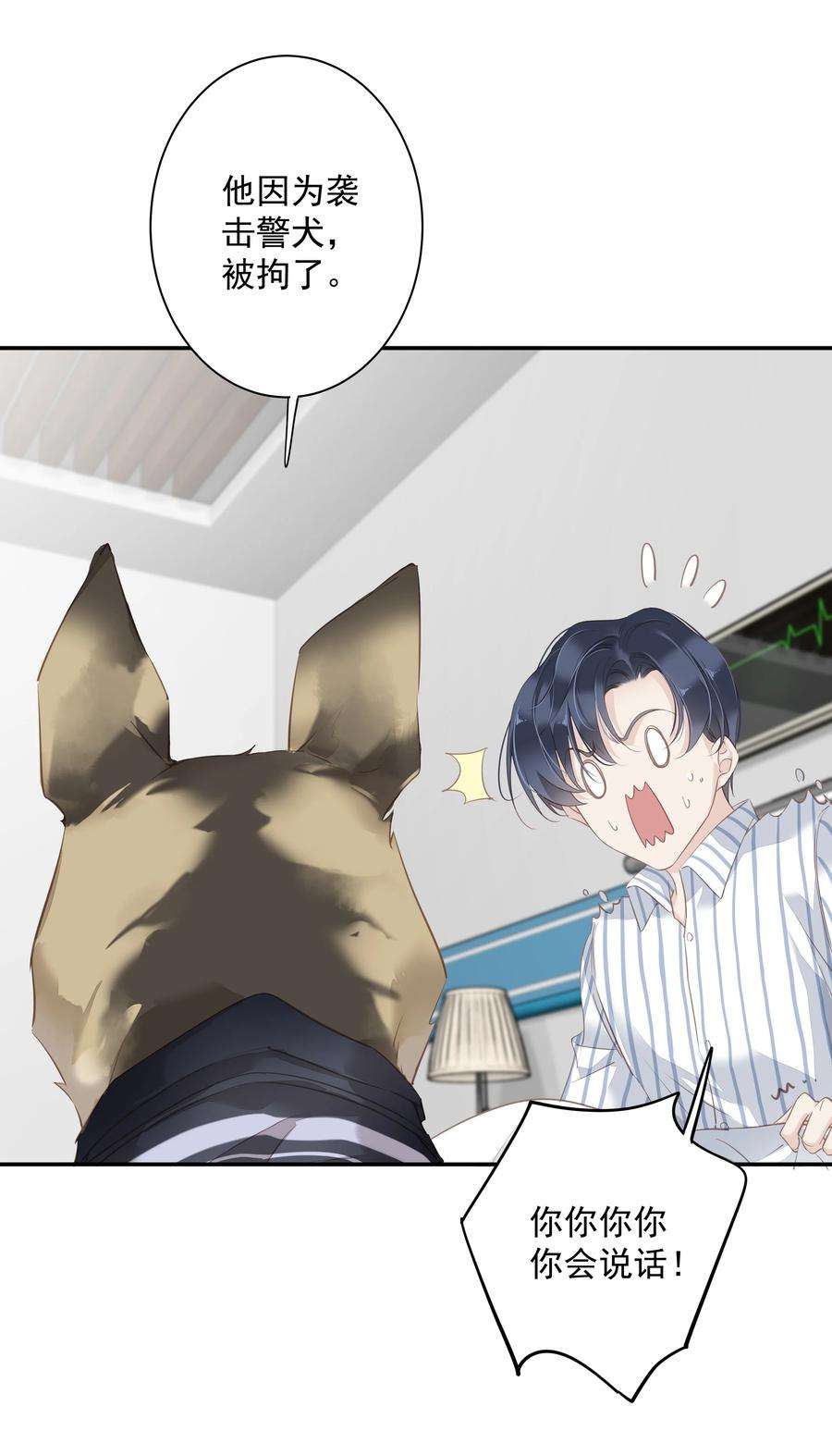 跨物种相亲036 黑背出场！