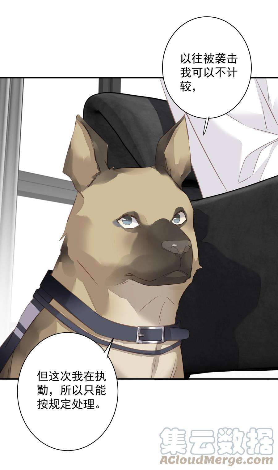 跨物种相亲036 黑背出场！