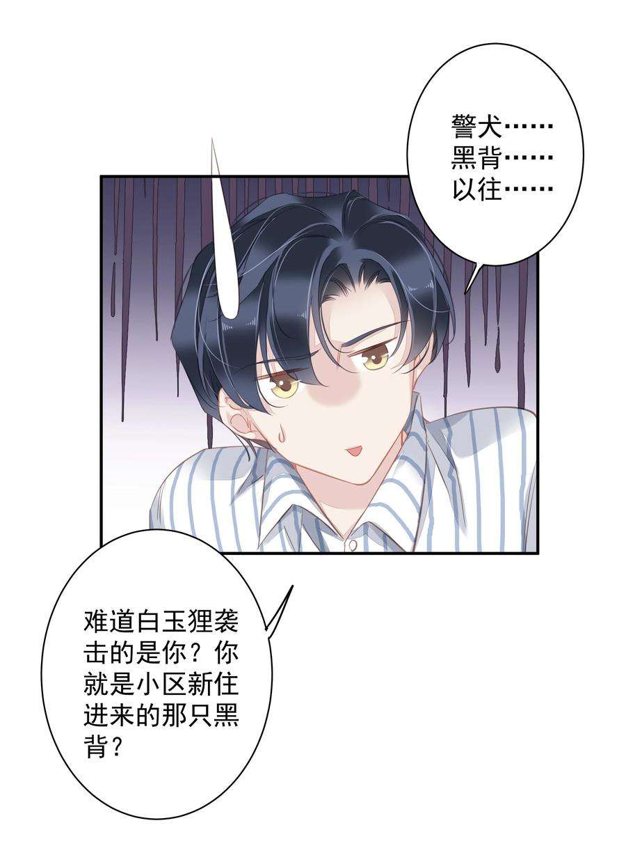 跨物种相亲036 黑背出场！