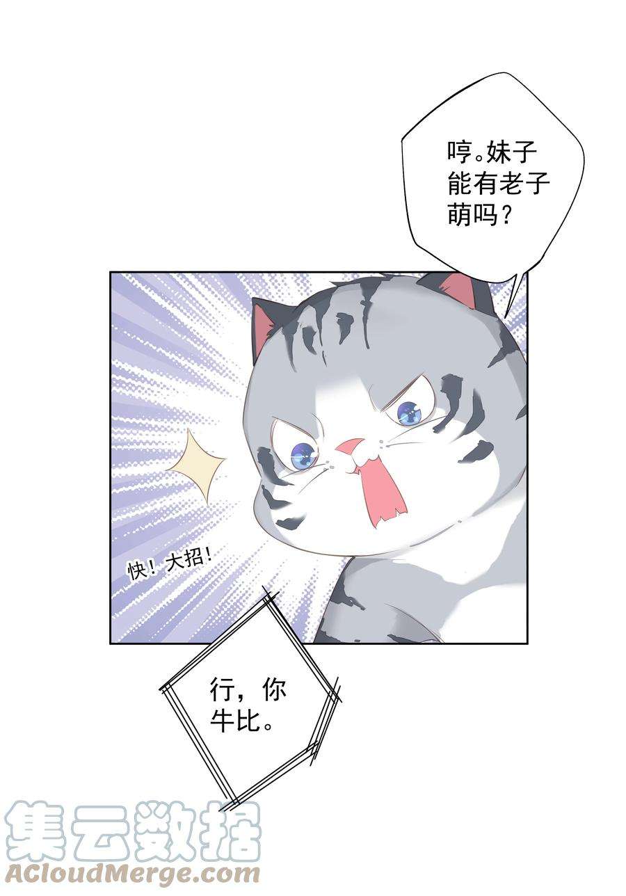 跨物种相亲037 你是我的天敌